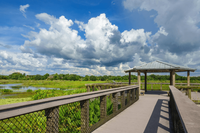 Exterior Construction Service Gainesville FL Exterior Construction Service Gainesville FL